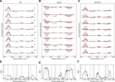 Raman-based PAT for VLP precipitation: systematic data diversification and preprocessing pipeline identification